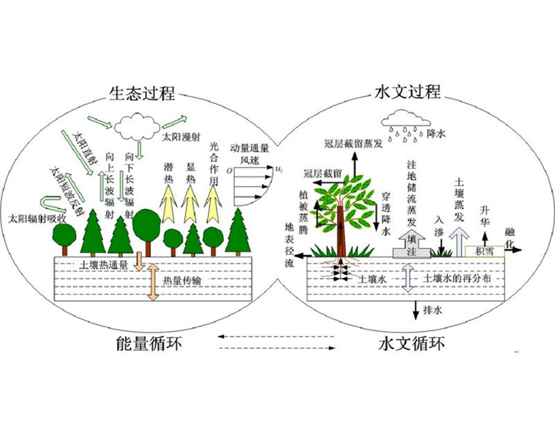案例展示